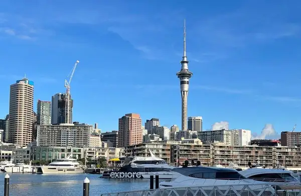 Private One-Way Transfer: Auckland Airport to Auckland City Hotel Carousel 4