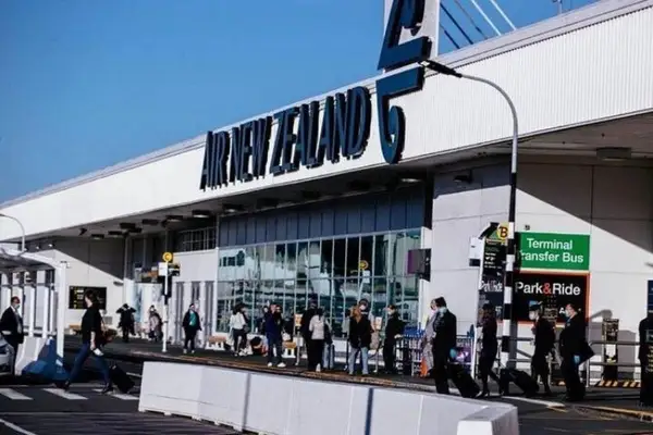 Private One-Way Transfer: Auckland Airport to Auckland City Hotel Carousel 5