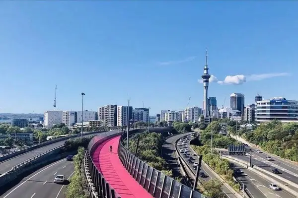 Private One-Way Transfer: Auckland Airport to Auckland City Hotel Carousel 2