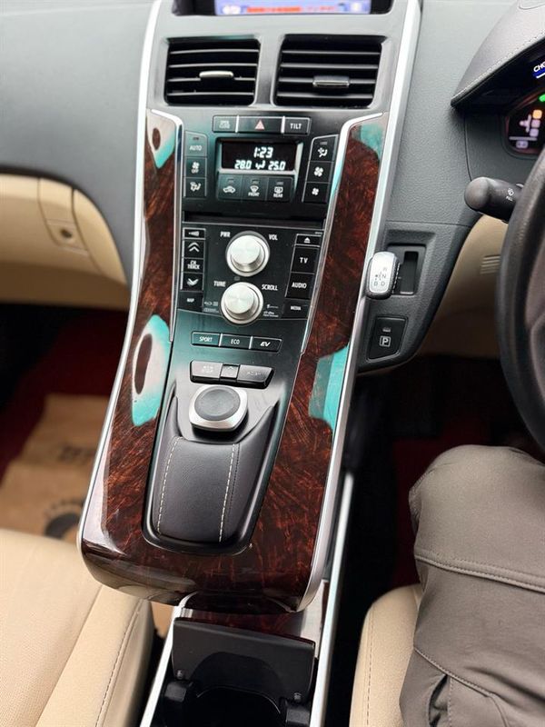 2014 Toyota Sai G Carousel 10