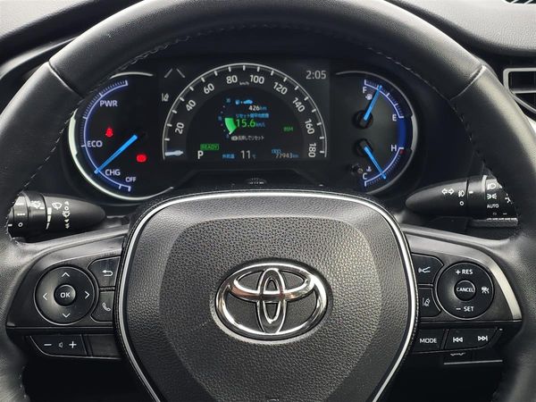 2019 Toyota RAV4 HYBRID, G PAck, Leather Heated Seats with heated Steering Carousel 18