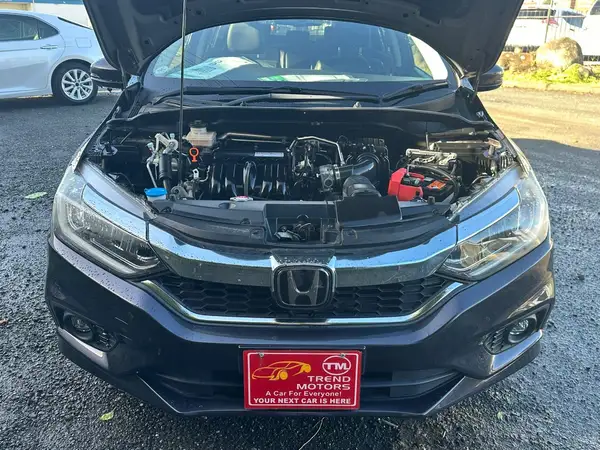 2018 Honda Grace Carousel 2