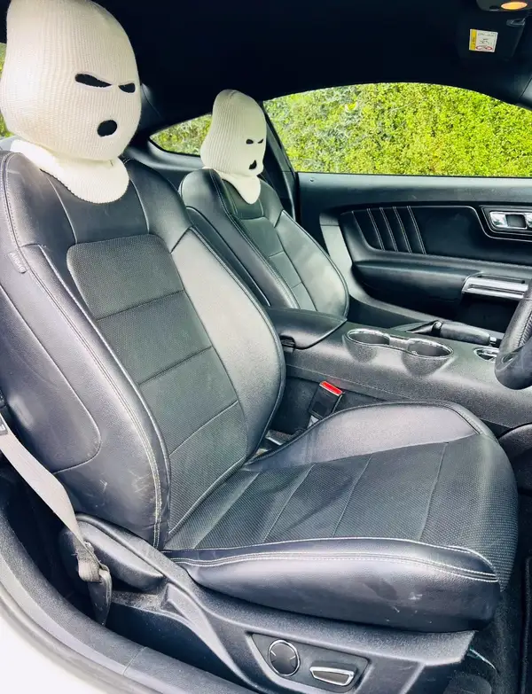2017 Ford Mustang Carousel 7