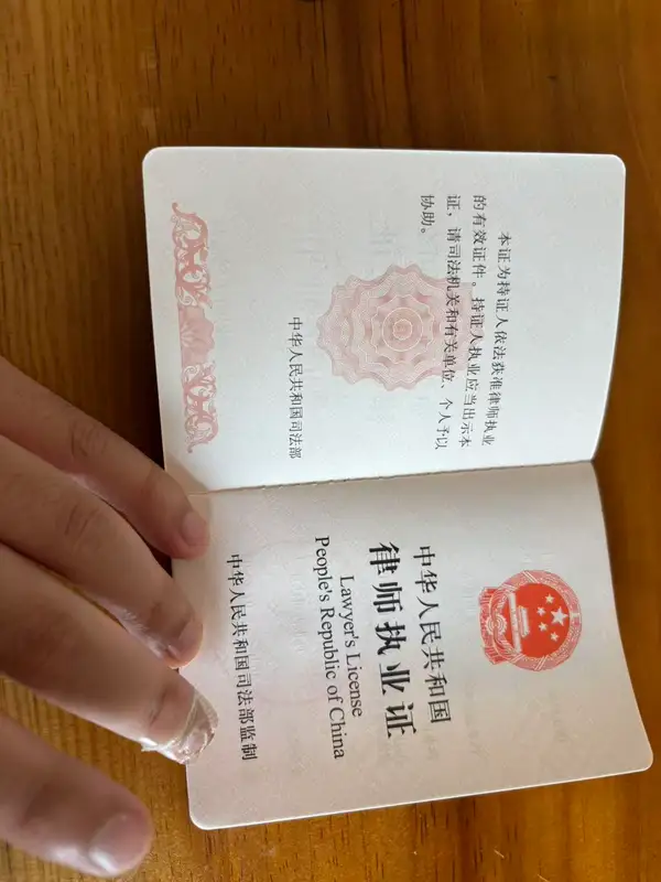Lawyer Liyuan from China Carousel 1