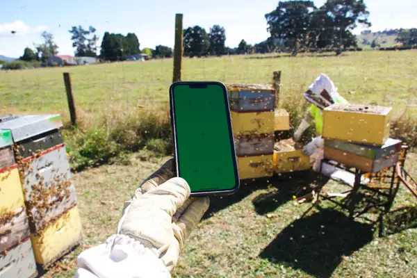 Mobile Phone / Accesories  category image