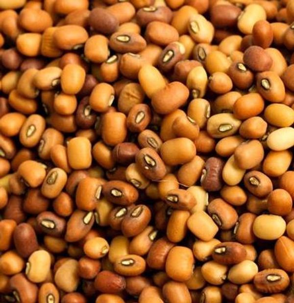 Red Chawli Cow Peas 500g