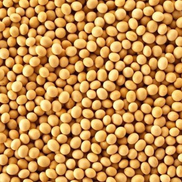 Soya Beans Whole  1KG New Zealand