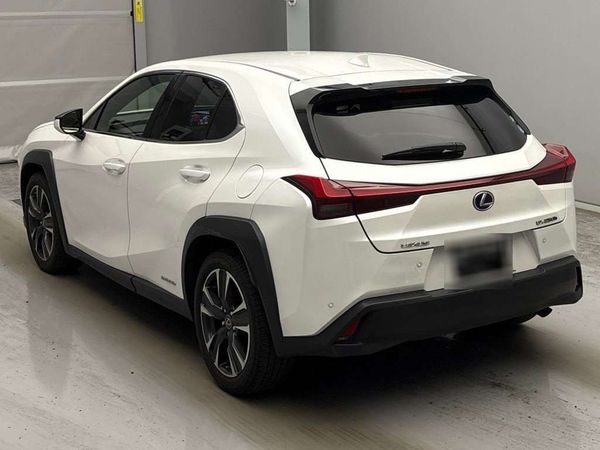 2019 Lexus UX 250H Transit Hybrid 4 WD Leather Carousel 12