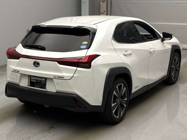 2019 Lexus UX 250H Transit Hybrid 4 WD Leather Carousel 13