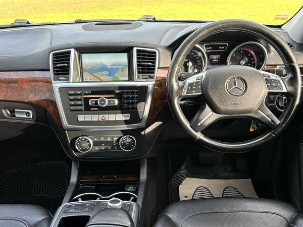 2015 Mercedes-Benz ML250 2.1D Bluetec 4Matic Carousel 2