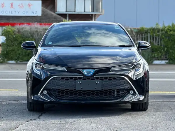 2019 Toyota Corolla Carousel 1