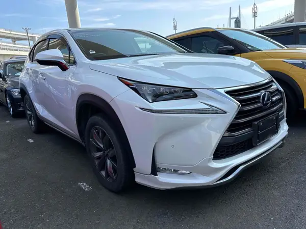 2014 Lexus NX 300