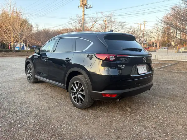2021 Mazda CX-8 Carousel 5
