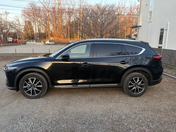 2021 Mazda CX-8 Carousel 6