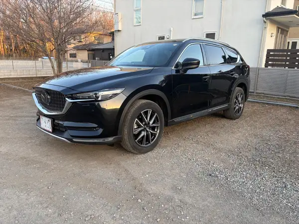 2021 Mazda CX-8 Carousel 7