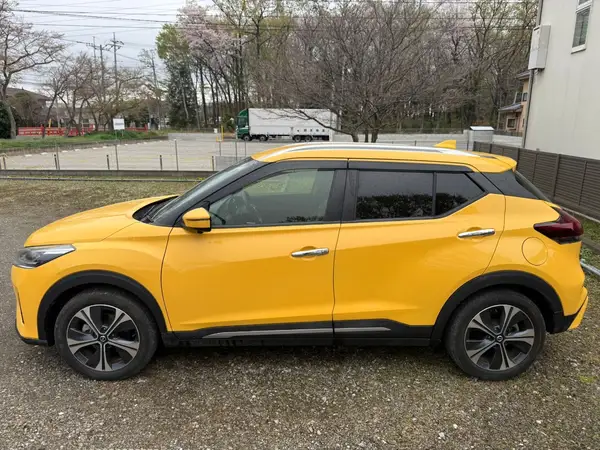 2020 Nissan Carousel 7
