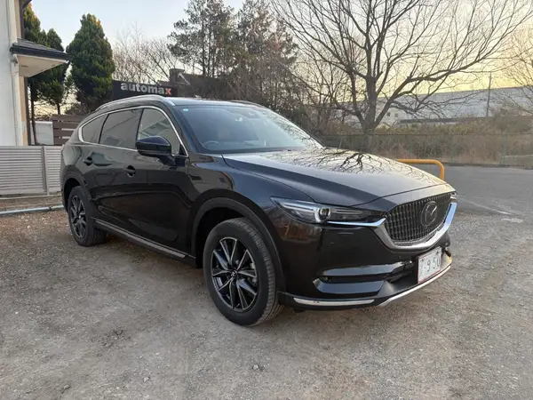 2021 Mazda CX-8 Carousel 9