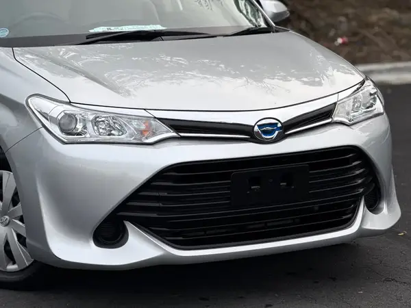 2016 Toyota Corolla Carousel 8