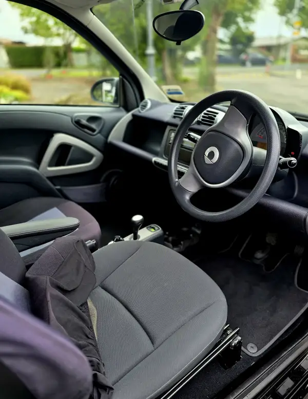 2014 Smart Fortwo Carousel 17