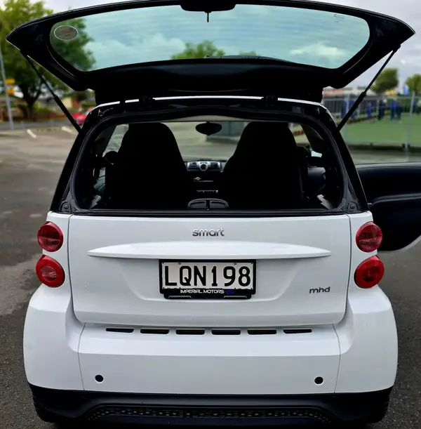 2014 Smart Fortwo Carousel 13