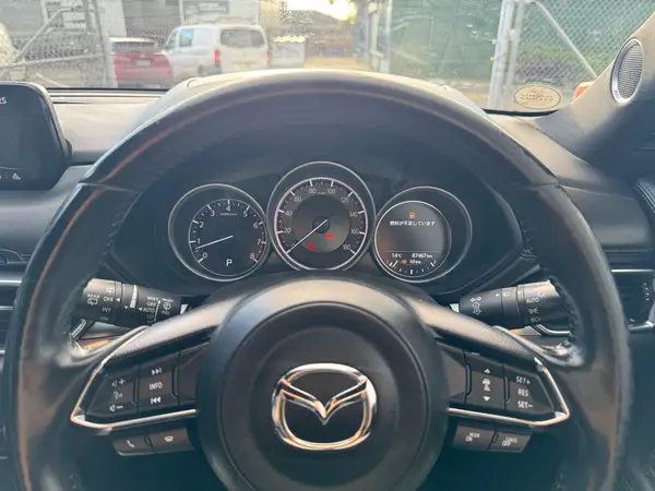 MAZDA CX-8 25S PROACTIVE 2019 Carousel 15