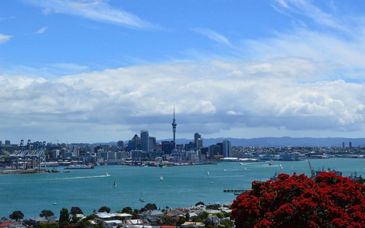 Private One-Way Transfer: Auckland Airport to Auckland City Hotel Carousel 3