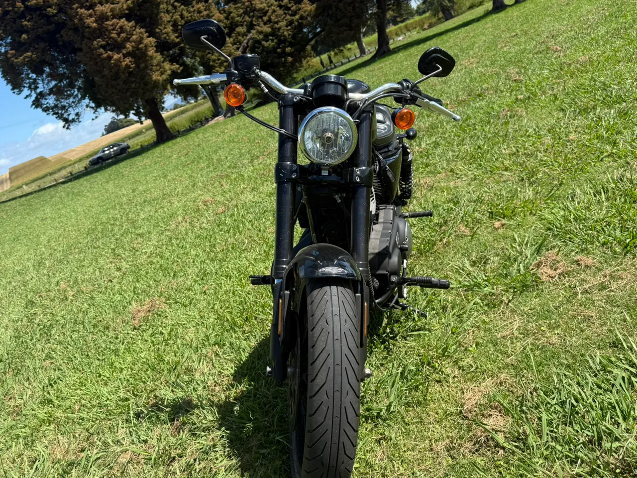 Harley Davidson Collage 2