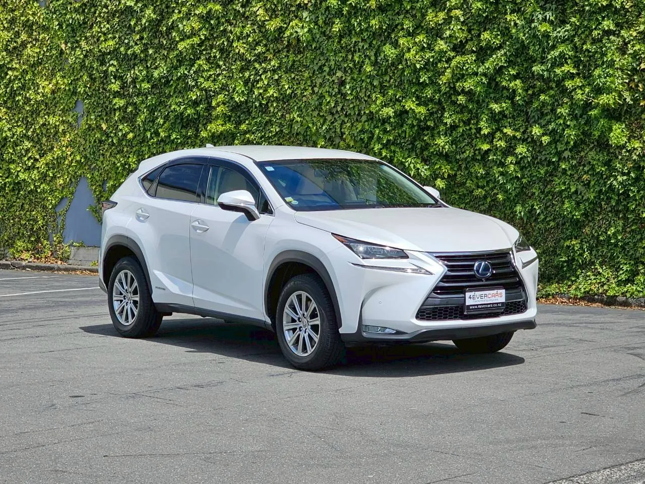 2016 Lexus NX 300 Hybrid 82,000 Kms Premium SUV Carousel 3