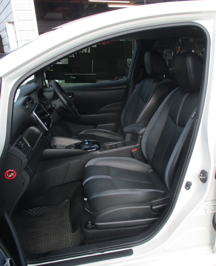 2020 Nissan Leaf G 62 kw Collage 1