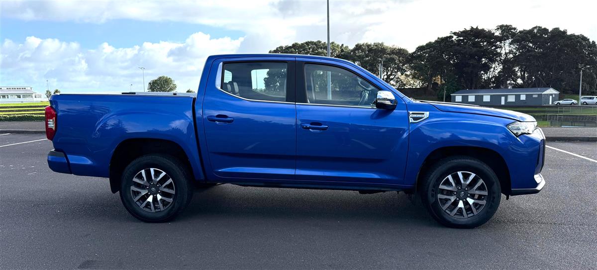 2022 LDV T60 4x4 Bi-Turbo Diesel Carousel 8