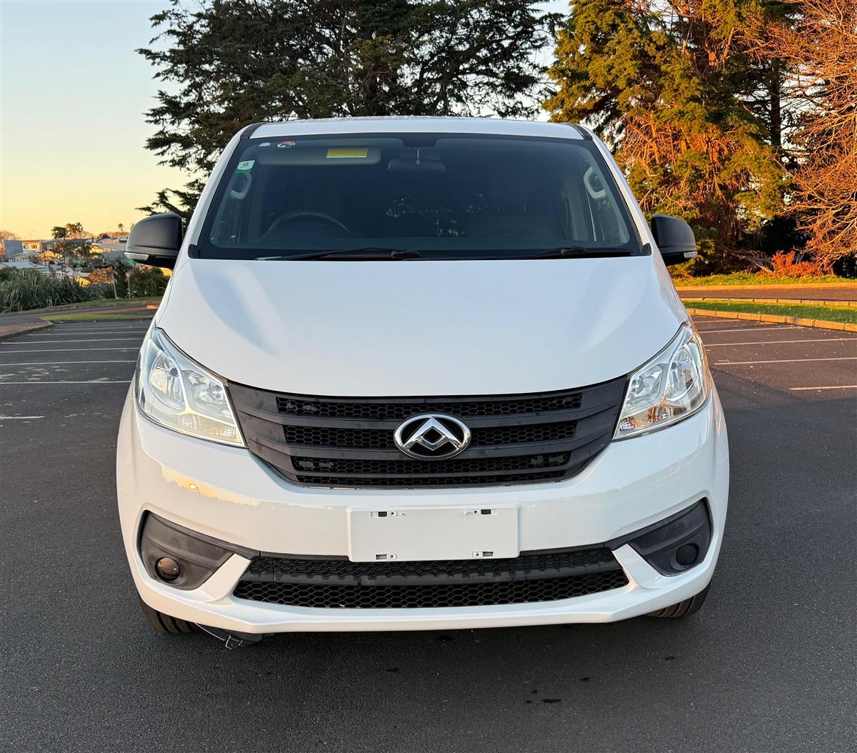 2021 LDV G10 Cargo 2.0L Turbo Diesel Collage 2