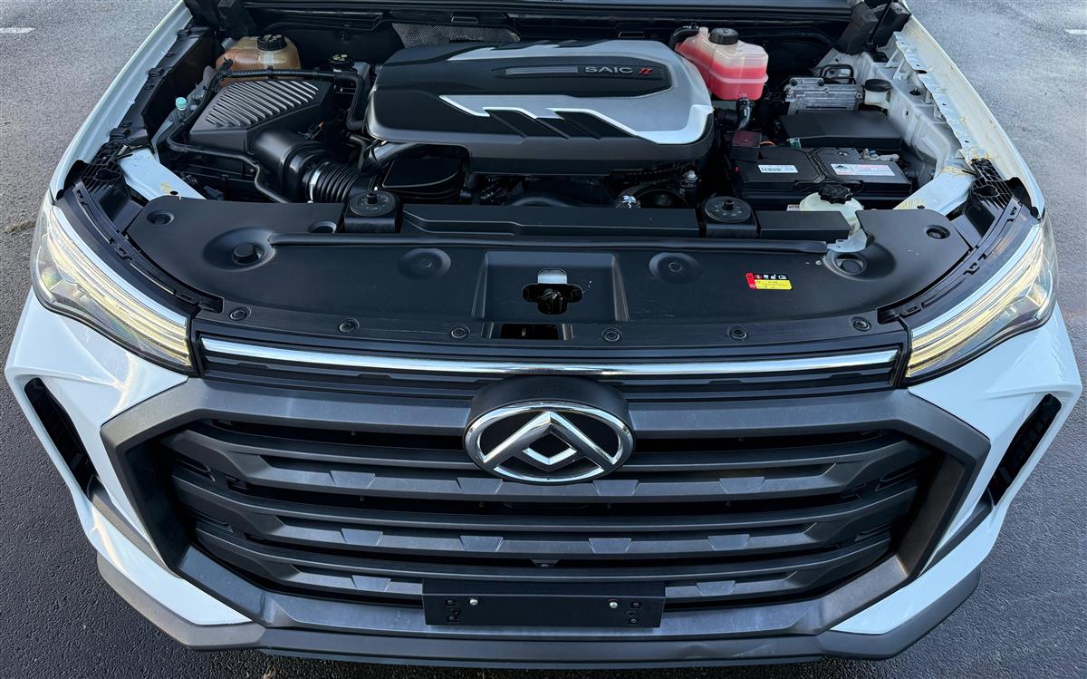 2022 LDV T60 4WD Auto Carousel 17