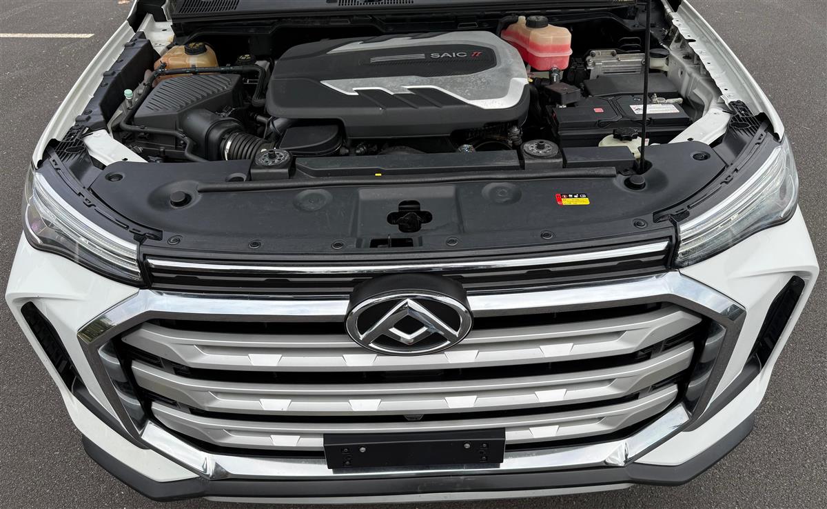2022 LDV T60 Bi-Turbo 4WD Carousel 17