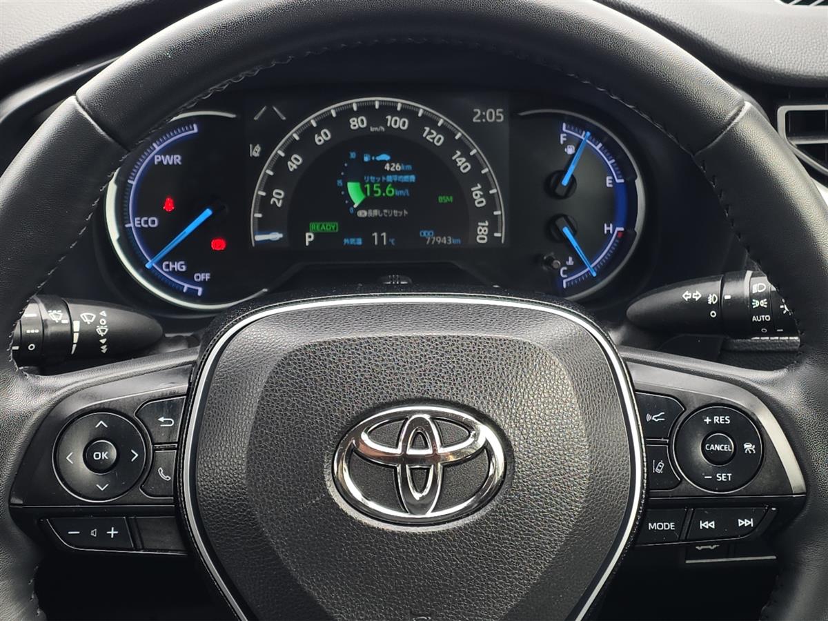 2019 Toyota RAV4 HYBRID, G PAck, Leather Heated Seats with heated Steering Carousel 18