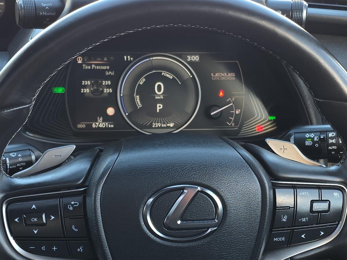 2022 Lexus UX 300e LIMITED 54KWH/EV/HD Carousel 18
