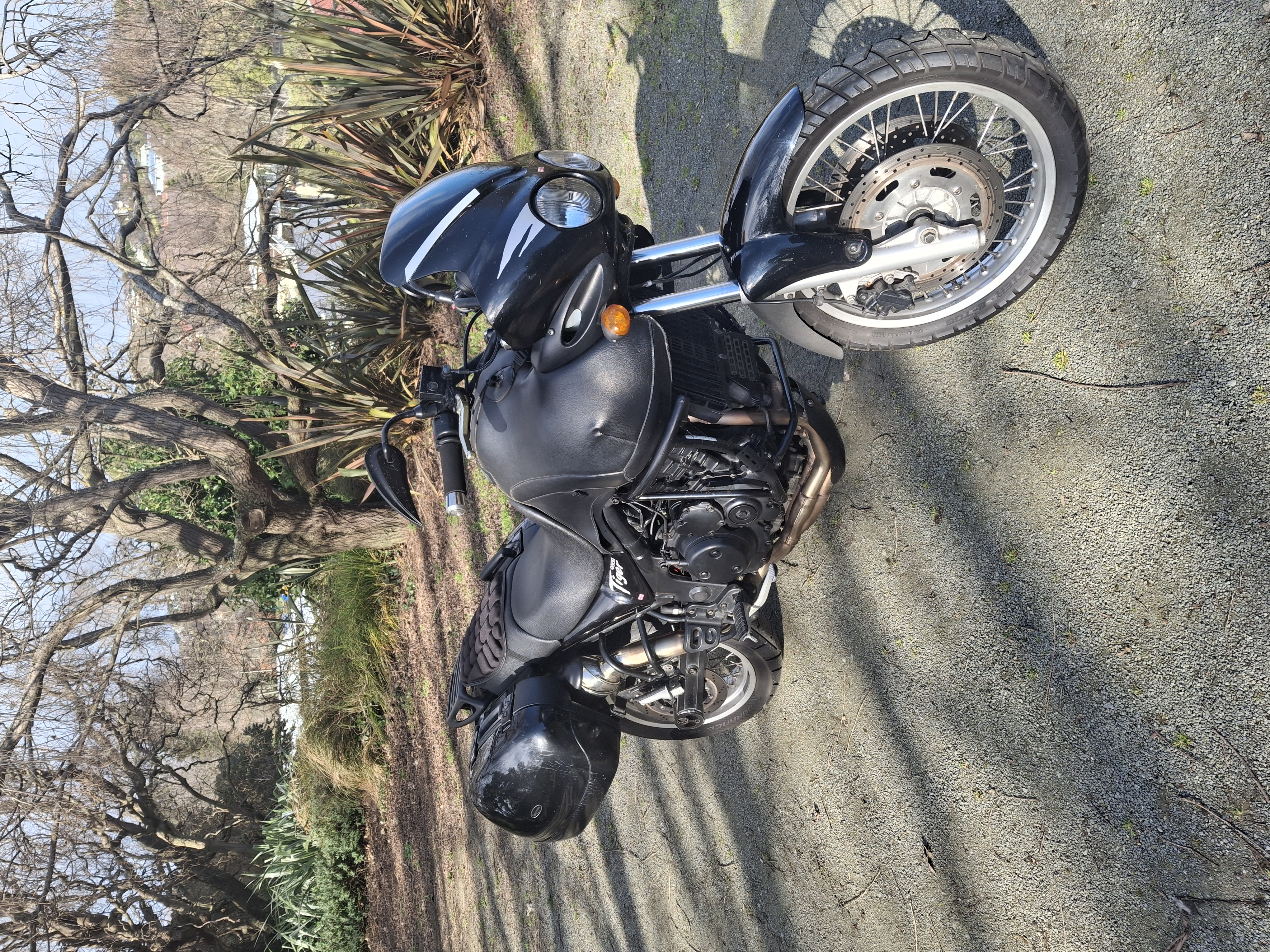 2002 Triumph Tiger 955i