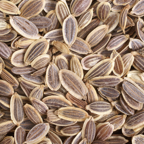 Dill Seed 100g