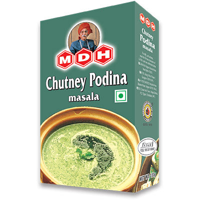 MDH Pudhina Chutney Masala 100g