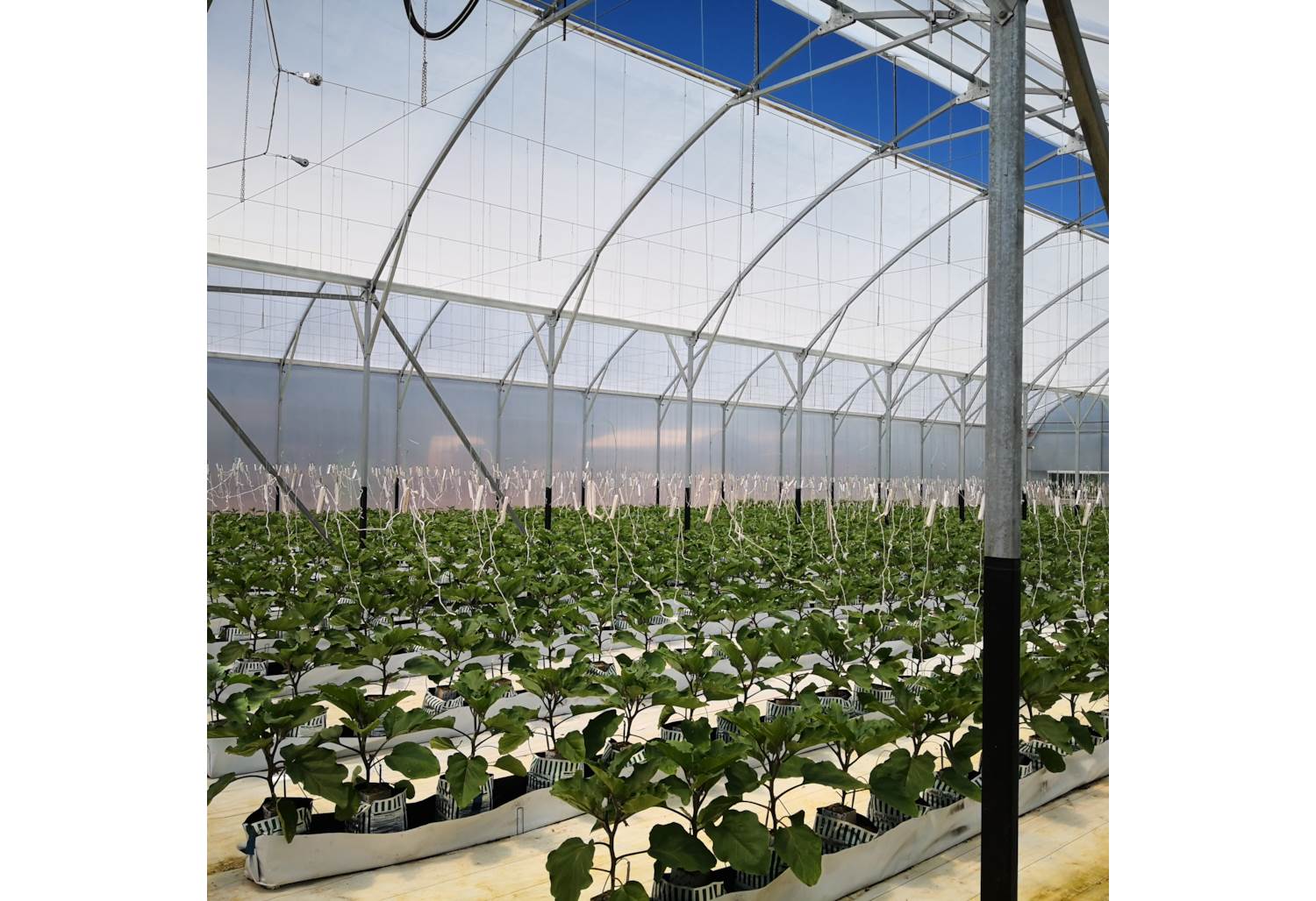  39 Martyn Wright Road, Mauku Carousel 2