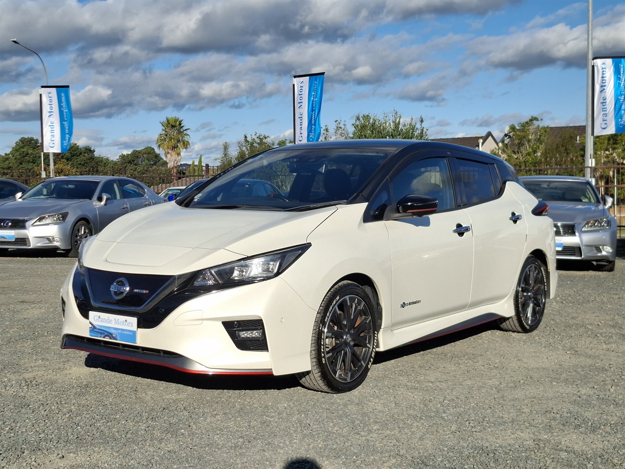 2019 Nissan Leaf Nissmo 85,87% Soh Grade 4,5 Carousel 13