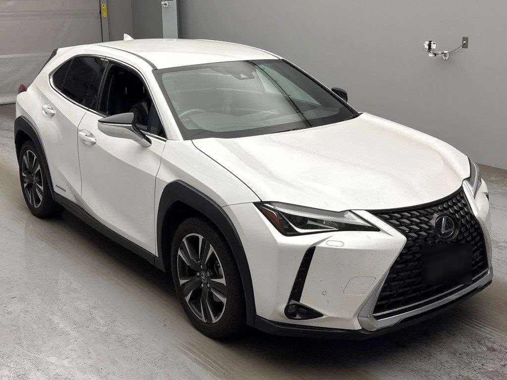 2019 Lexus UX 250H Transit Hybrid 4 WD Leather Carousel 11