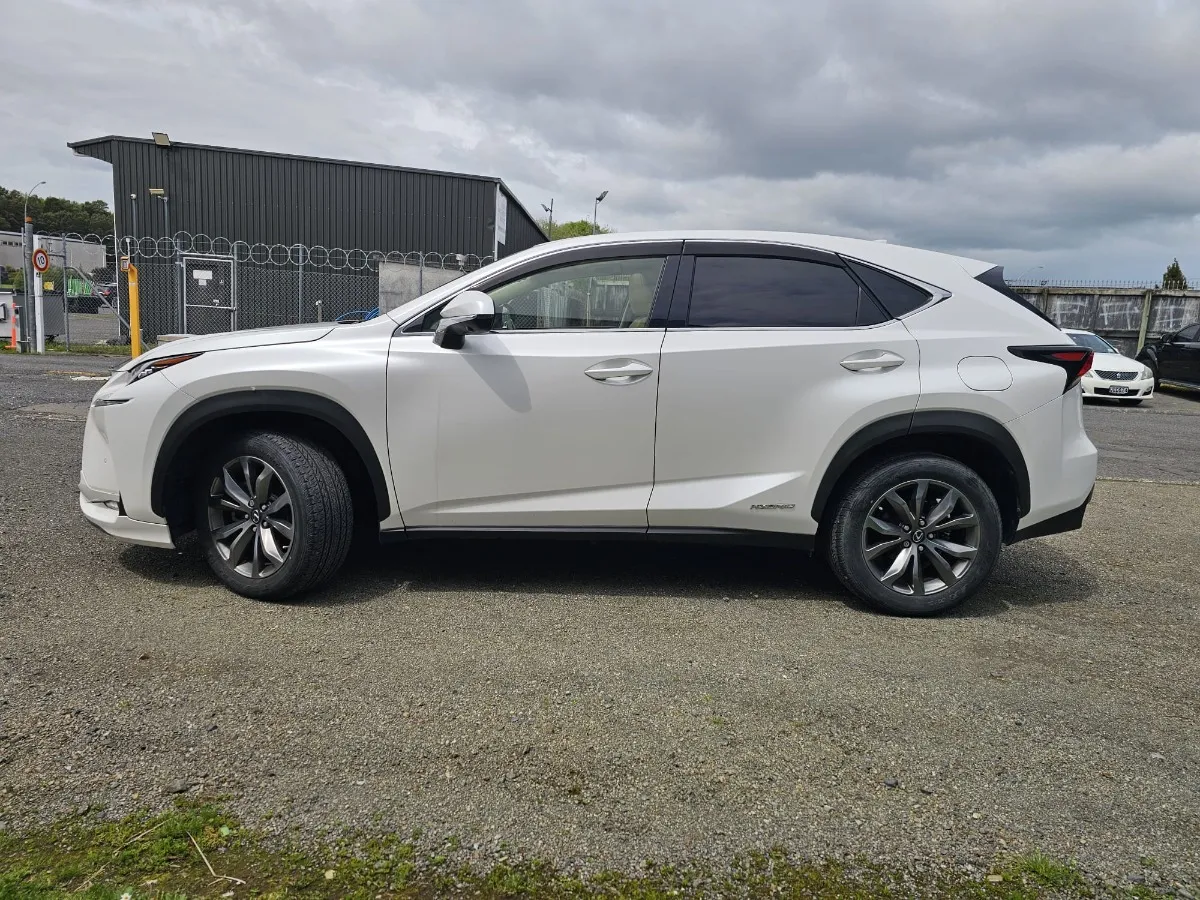 2014 Lexus NX 300 Carousel 6