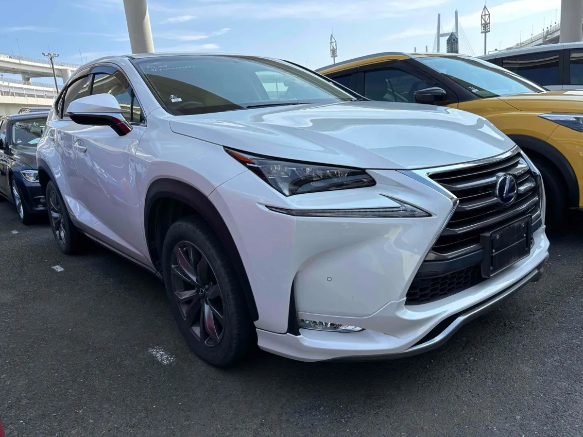 2014 Lexus NX 300