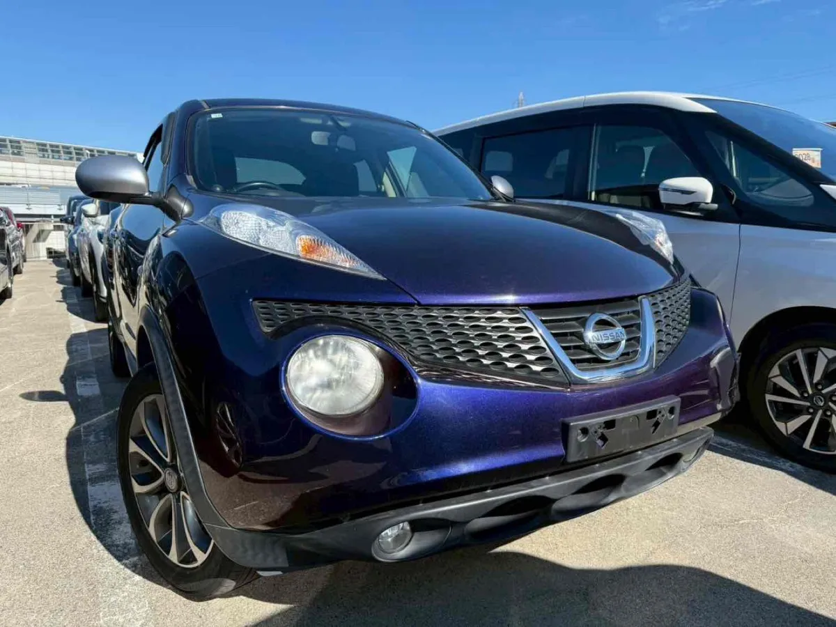 2014 Nissan Juke