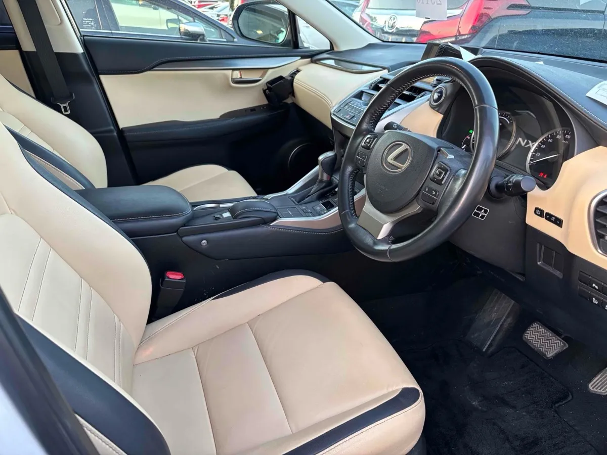 2014 Lexus NX 300 Carousel 2