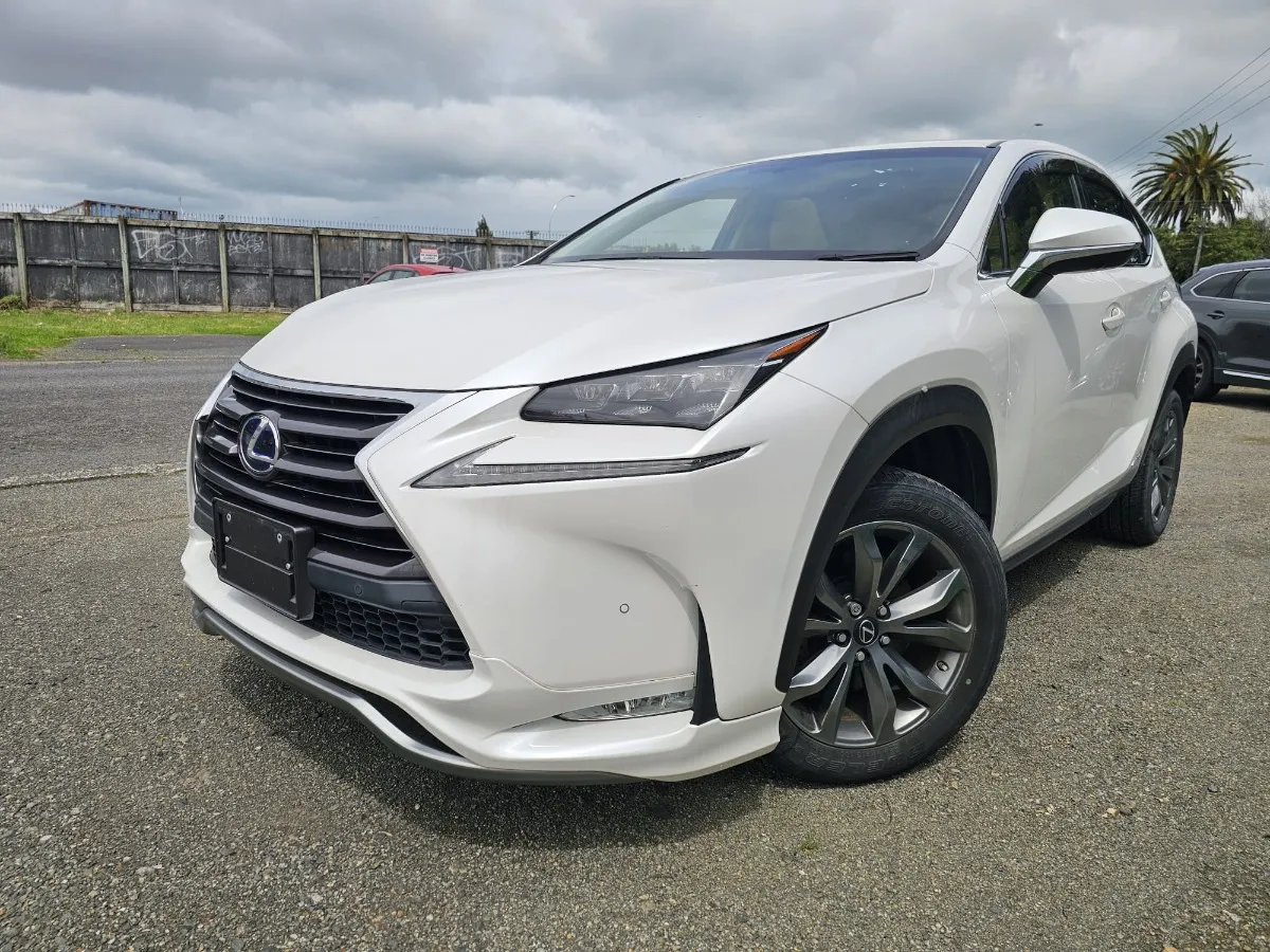 2014 Lexus NX 300 Carousel 8