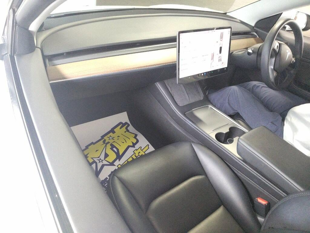 2020 TESLA MODEL 3 4WD LONG RANGE Carousel 2