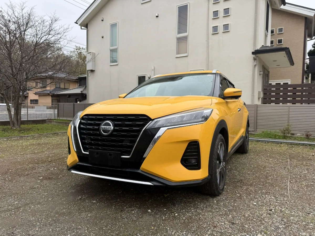 2020 Nissan Carousel 8