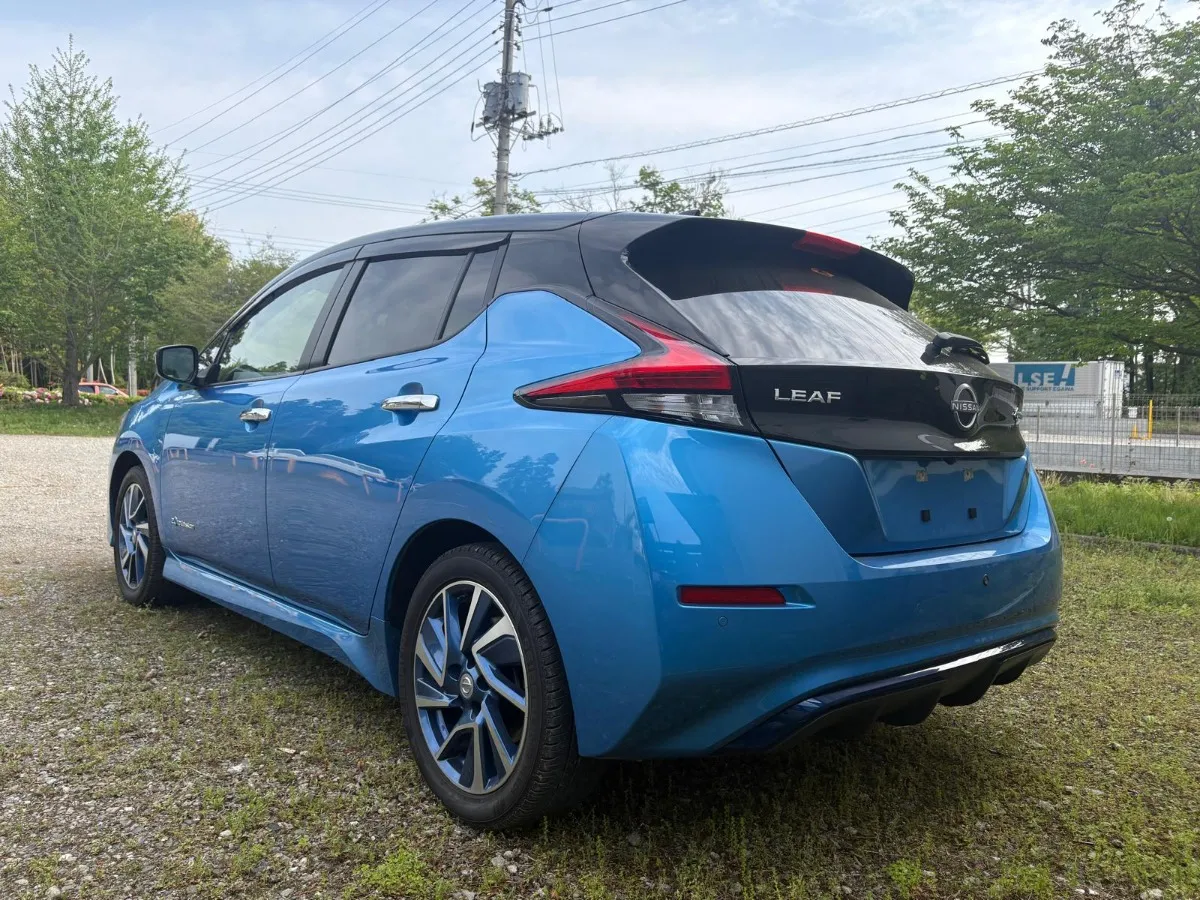 2022 Nissan Leaf Carousel 6