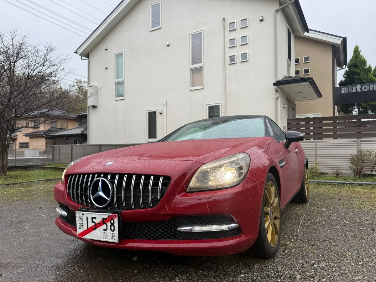 2012 Mercedes-Benz SLK 200 Carousel 8